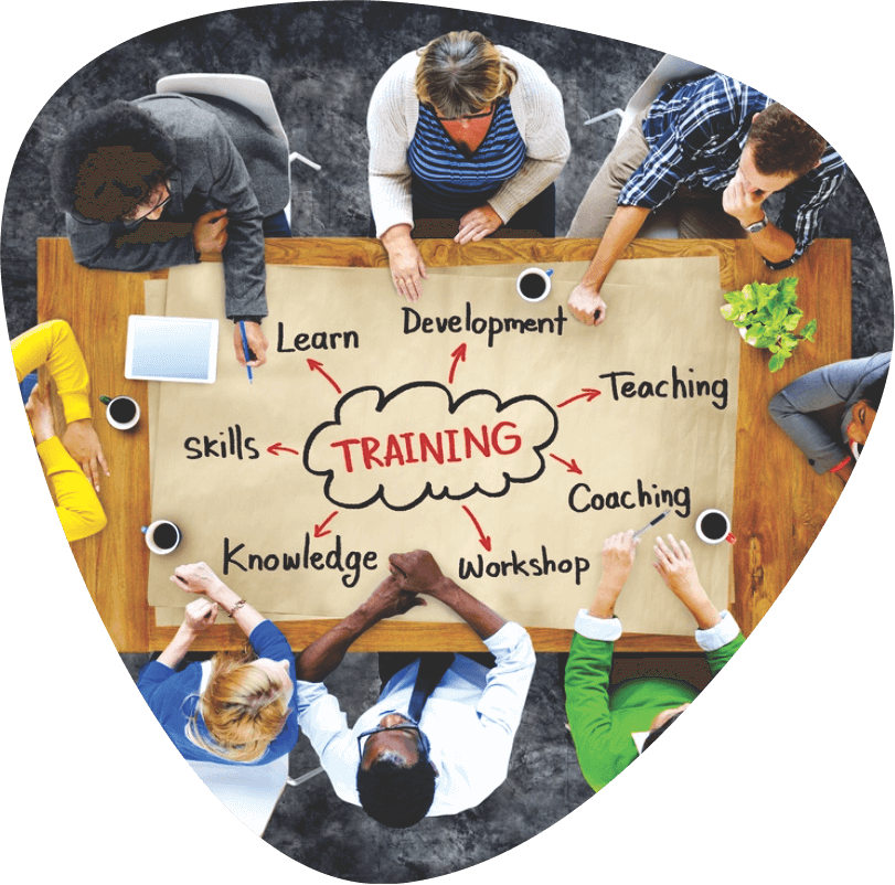 training and development